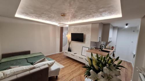 Μια τηλεόραση ή/και κέντρο ψυχαγωγίας στο Apartament pod lasem