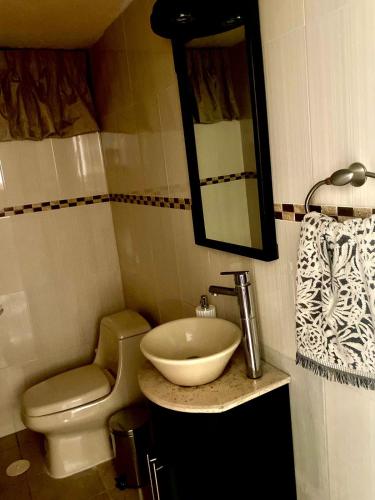 a bathroom with a sink and a toilet and a mirror at Luna Llena in Monterrey