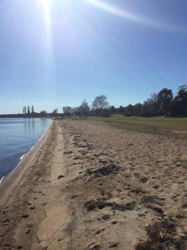 a sandy beach next to a body of water at Beautiful Lakefront Location in Rotorua