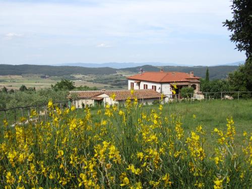 a field of yellow flowers in front of a house at Agriturismo Borghetto Il Montino in Rapolano Terme