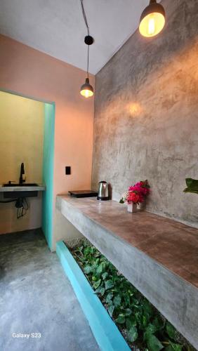 a kitchen with a counter with a plant at Saak Luúm Ruta Puuc in Sacalum