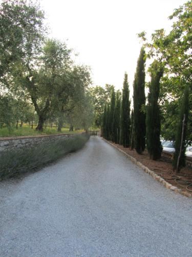 an empty road with trees on the side of it at Agriturismo Borghetto Il Montino in Rapolano Terme