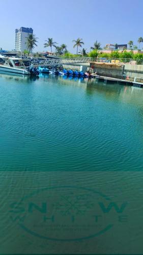 a large body of water with boats in it at Mina Al Fajer in Rūl Ḑadnā
