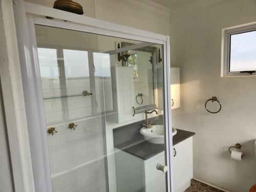 un bagno bianco con lavandino e doccia di Dragons Landing Guest House a Hartlea