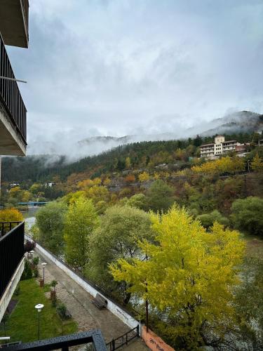 a view of a valley with trees and a mountain at New Borjomi27 Apartment in Borjomi