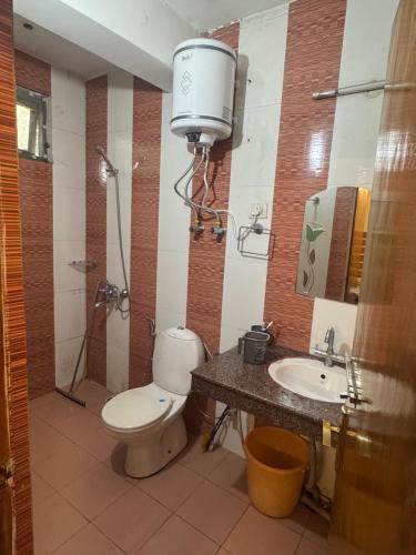 a bathroom with a toilet and a sink and a shower at aashini homestay in Vashisht
