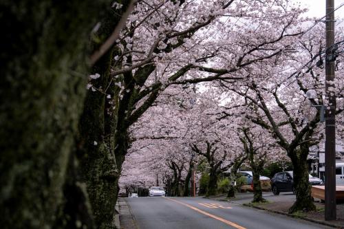 Imagen de la galería de arts-inn アーツイン 伊豆高原天然温泉旅馆 艺家, en Ito