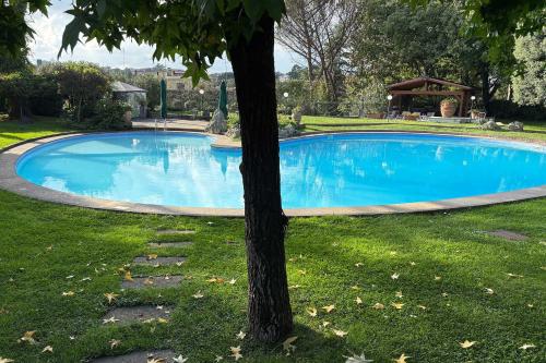 Villa Albina photo 16