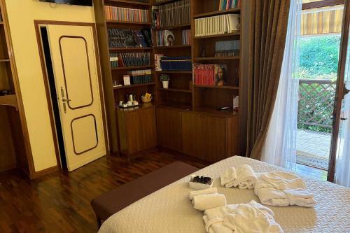 Villa Albina photo 53