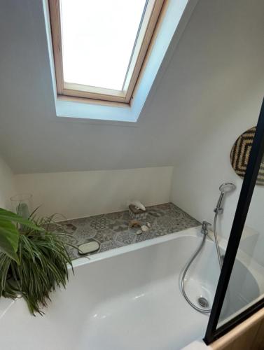 Chambre et salle de bain privée