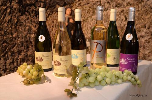 a group of wine bottles and grapes on a table at Le Pigeonnier in Saint-Martin-le-Beau