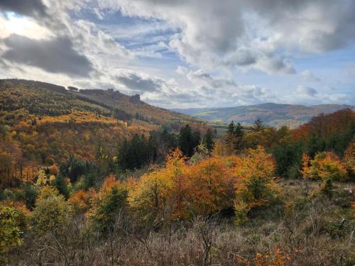 a view of a hillside with autumn foliage at Haus Nina near Willingen and Winterberg in Olsberg