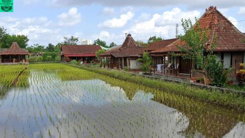 a house with a pond in front of it at Alamanda Family Villas, Pool & Local Tours in Yogyakarta