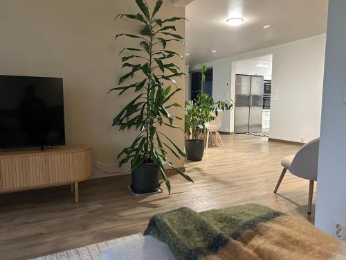 a living room with a tv and a large plant at Kaamos City House in Rovaniemi