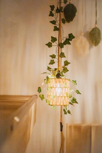 a plant in a lamp hanging from a wall at JASTA Homes Mosel, zentral, Netflix, Waschmaschine, Terrasse, Privateingang, Erdgeschoss, ältester Weinort Deutschlands in Neumagen-Dhron