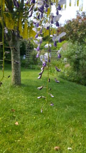 Fotografie z fotogalerie ubytování Cosy Cottage in Verwood, Dorset v destinaci Verwood