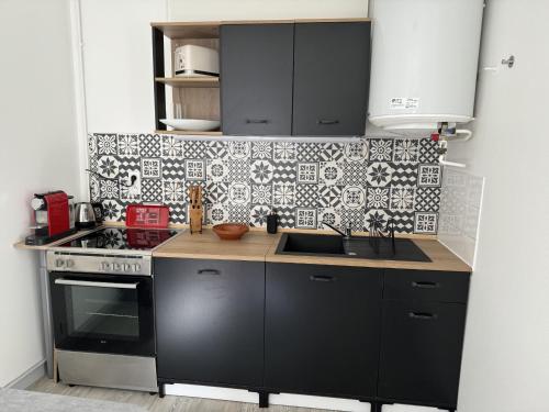 - une cuisine avec des armoires noires et une cuisinière noire dans l'établissement Magnifique studio en RDC au cœur de la boucle, à Besançon