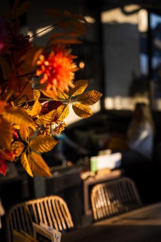 a group of chairs and flowers in a room at Hotel Restaurant 'de Vossenberg' in Vierhouten