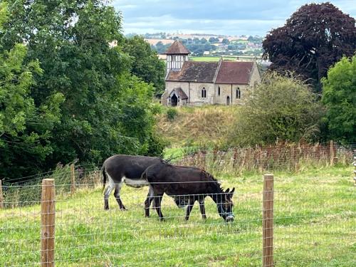 two horses grazing in a field next to a fence at Hedgehog Glamping Pod School House Farm in Leighton