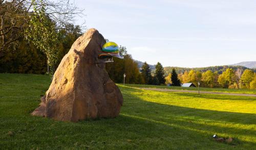a rock in the grass with a toy on it at Podkrovní stylový mezonetový apartmán in Kunratice