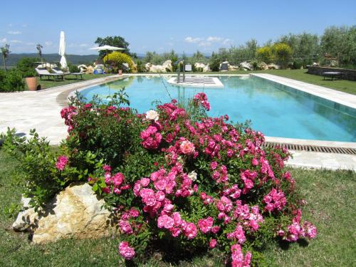 a bush of pink flowers next to a swimming pool at Agriturismo Borghetto Il Montino in Rapolano Terme