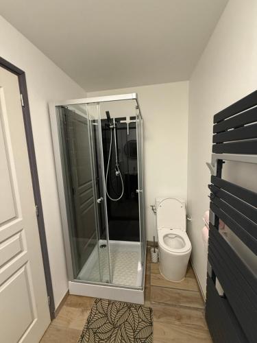 une salle de bain avec douche et toilettes dans l'établissement La petite maison spécial, à Wimereux