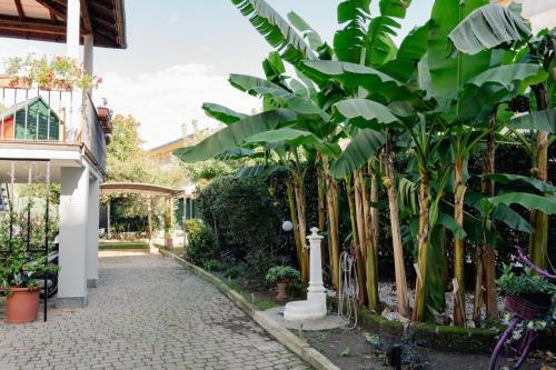 Zahrada ubytování La casetta dei Sogni