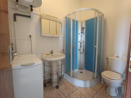 une salle de bain avec une douche, des toilettes et un lavabo dans l'établissement Appartement T2 Meublé avec Balcon, à Aire-sur-lʼAdour