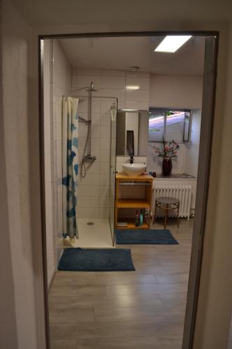 a bathroom with a shower and a sink at studio indépendant dans maison à la campagne in Égliseneuve-près-Billom
