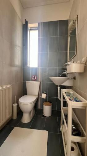 a small bathroom with a toilet and a sink at Alba - Open Plan Apartment in Artemida