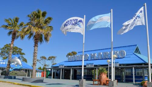 サンタ・テレシータにあるLo de Carlosの椰子の木の前三旗