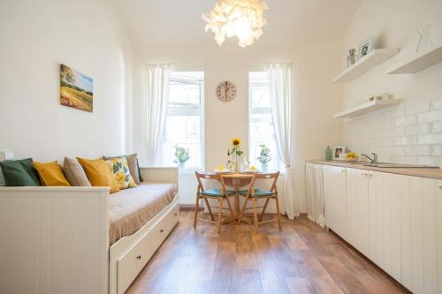 Nice one bedroom apartment in zizkov