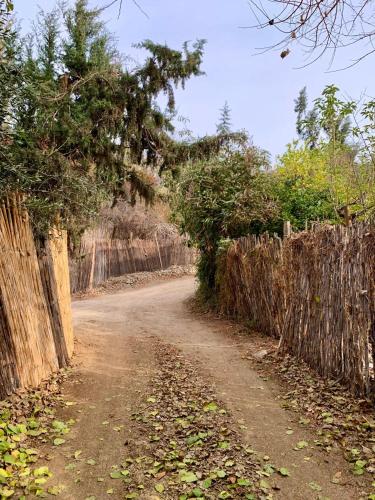 a dirt road next to a wooden fence at La Casa entre los Árboles en el Valle de Elqui Montegrande in Paihuano