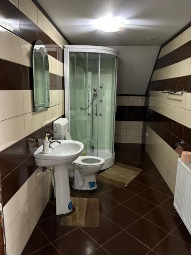 a bathroom with a toilet and a shower and a sink at Plaiul Bucovinei in Horodnic de Sus