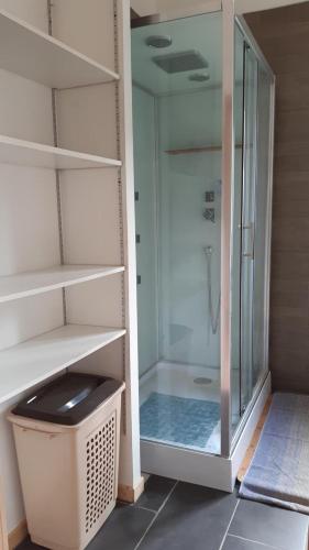 une douche avec une porte vitrée dans une salle de bain dans l'établissement Hansi - Adults Only, à Lautenbachzell