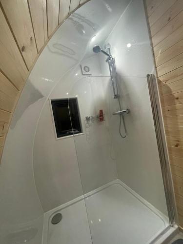 una doccia con una porta in vetro in un bagno di Tra na Mbó Glamping Pod a Waterford