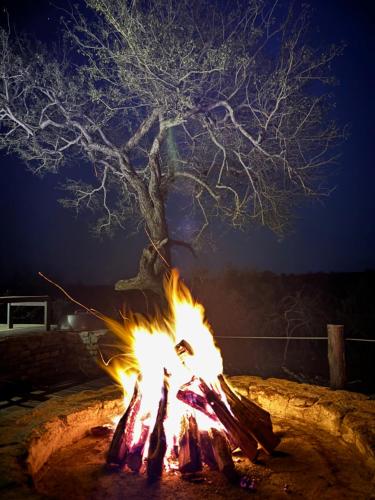 a fire pit in front of a tree at night at MANZINI RIVER HOUSE - Mjejane Private Game Reserve, Greater Kruger National Park in Hectorspruit