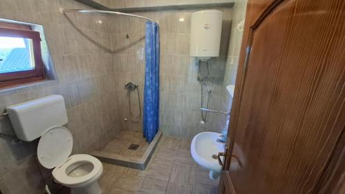 a bathroom with a shower and a toilet and a sink at Santa Golija in Golija