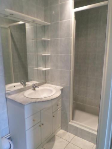 een witte badkamer met een wastafel en een douche bij Meublé Tourisme 2* in Saint-Didier-sur-Chalaronne