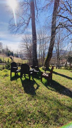 a group of picnic tables in a park with trees at Wincarayen Lodge & Cabañas in Panguipulli