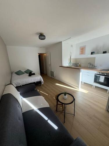 Il comprend un grand salon avec un canapé et une cuisine. dans l'établissement Studio 13005 quartier la timone, à Marseille