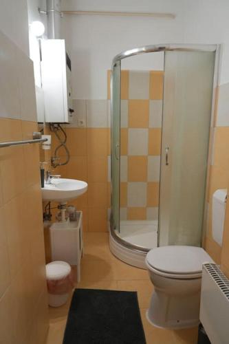a bathroom with a shower and a toilet and a sink at Prestige apartman in Miskolc