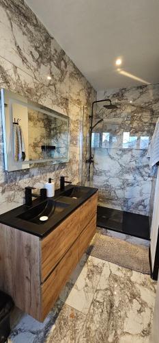 ein Badezimmer mit Waschbecken und Dusche in der Unterkunft Casa Majorelle - Maison spacieuse et élégante in Montigny-lès-Metz