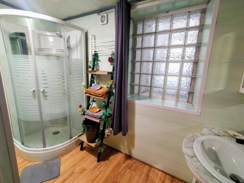 a bathroom with a shower and a sink at L'éléphant Blanc de ConcarnOLoc in Concarneau