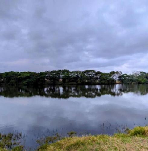 a large body of water with trees in the background at The Loft in Mtunzini