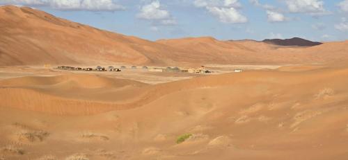 a desert with a herd of animals standing in the sand at AArabian Sand Camp Empty Quater Salalah Oman in Fasad
