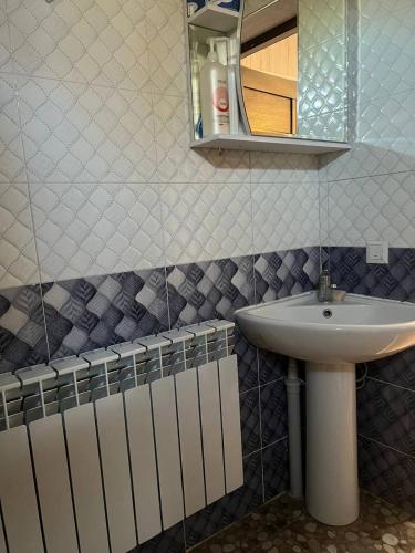 a bathroom with a sink and a mirror at Ethno homestay in Teploklyuchinskoye