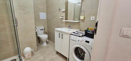 a bathroom with a washing machine and a toilet at MVA House Teplice, Šanovský park in Teplice