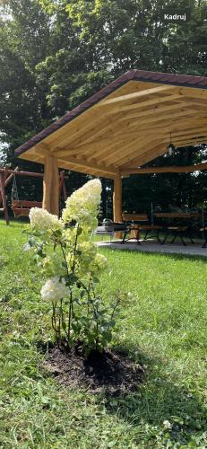 Zahrada ubytování Domek w lesie Sauna i Gorąca balia Wellness&Spa