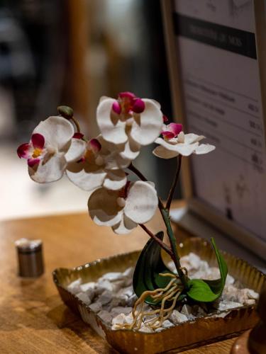 Φωτογραφία από το άλμπουμ του Diwan Casablanca Hotel & Spa στην Καζαμπλάνκα